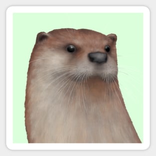 Eurasian Otter 3 Sticker